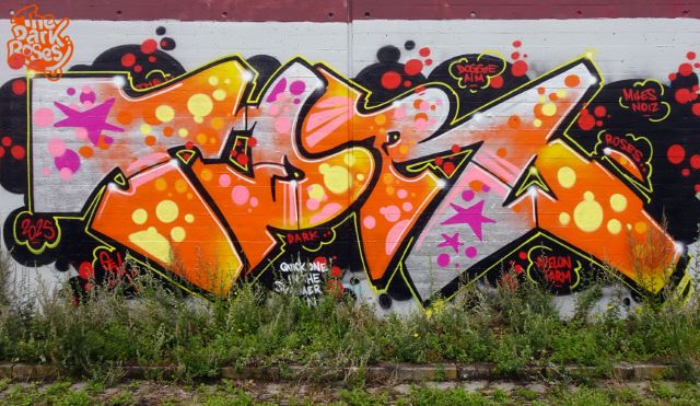 ★ TDR ★ by Gem 1 - The Dark Roses - Albertslund, Denmark July 2025